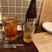 アカミヤコウシ - 