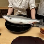 徳ㇵ本也 - 氷見の特別なルートから入手された　富山の桜鱒