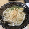 Hanamaru Udon - 