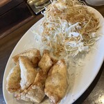 Gyoza Senmon Tenjin Gyoza