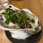 渡辺料理店 - 岩牡蠣、馬肉タルタル