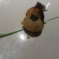 レフェルヴェソンス - 