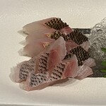 マリティーム - イサキ