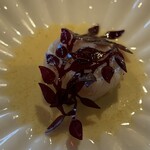 Geranium - Scallop with scallop roe & dried blackcurrant 