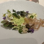 Geranium - "Today's harvest from the plant kingdom"