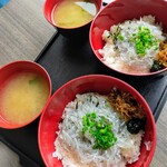 どんぶり工房 - 新鮮な生しらすがたっぷり盛られてます