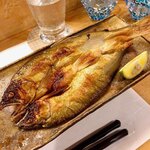 穴子料理と地酒 浅草 川井 - 