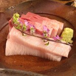 穴子料理と地酒 浅草 川井 - 