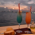 シンフォニー東京湾クルーズ