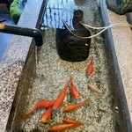 魚ろばた　海座 - 