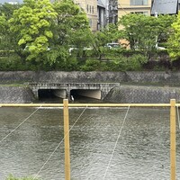東山望 TAMANOHIKARI - 