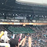 阪神甲子園球場 - 