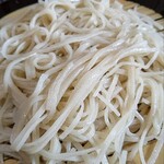 茅乃庵 - 寒晒し更科蕎麦