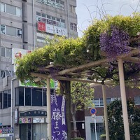 和風牛肉料理 まつもと - 春日部駅西口ロータリーの左、藤棚の奥のビル