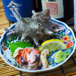 Maruyasu Suisan - 活サザエのお刺身。荒波に揉まれているので引き締まった身が特徴です。 刺身でお召し上がりいただくと、活さざえの本来の食感をお楽しみいただけます。
