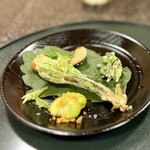 Sanyuukyo - コシアブラの天ぷらや空豆とからすみなど
