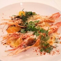 カーザ ヴィニタリア - 