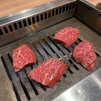 焼肉ホルモン 稲田 - 