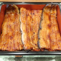 うなぎ処 古賀  - 鰻重 松 200g（お吸物・お新香付）※肝吸い変更