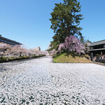 Kissashitsu Baton - 弘前公園追手門口の外壕を覆い尽くす美しい花筏