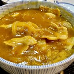 利久庵 - 20240502カレー南蛮うどん（豚肉）1,150円