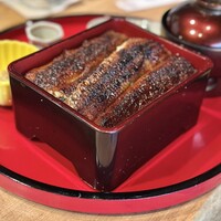 炭焼うな富士 白壁別邸 - 鰻重
