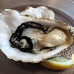 おしゃべりきのこ - 