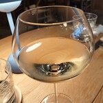 おしゃべりきのこ - 