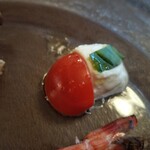 おしゃべりきのこ - 