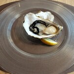 おしゃべりきのこ - 