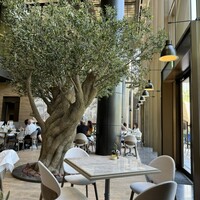 ジャヌ メルカート - 