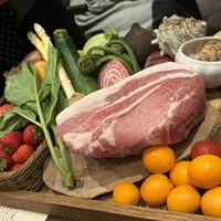 オッジ ダルマット 西麻布店 - 