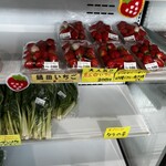 湯前町観光物産協会 湯～とぴあ - 