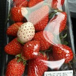 湯前町観光物産協会 湯～とぴあ - 