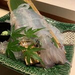 たつみ寿司 総本店 - 