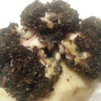 リストランテ・ホンダ - 