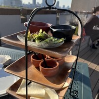 BLUE BIRDS ROOF TOP TERRACE - 