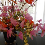 虎屋菓寮 - 2014年2月店内には、いつも素敵に花が活けてあります♪