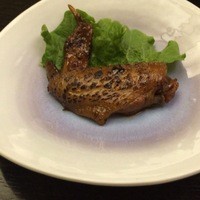 博多水炊きと焼き鳥 鳥善 銀座店 - 