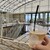 TAKAMURA COFFEE ROASTERS FACTORY&CAFE - ドリンク写真: