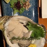 Oyster Lab - 