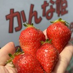 姫路ハートフル観光農園 - 