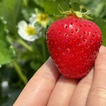 姫路ハートフル観光農園 - 