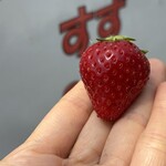 姫路ハートフル観光農園 - 