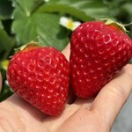 姫路ハートフル観光農園 - 