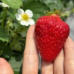 姫路ハートフル観光農園 - 