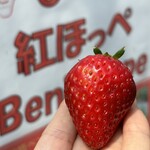 姫路ハートフル観光農園 - 