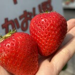 姫路ハートフル観光農園 - 