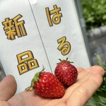 姫路ハートフル観光農園 - 