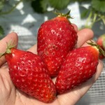 姫路ハートフル観光農園 - 